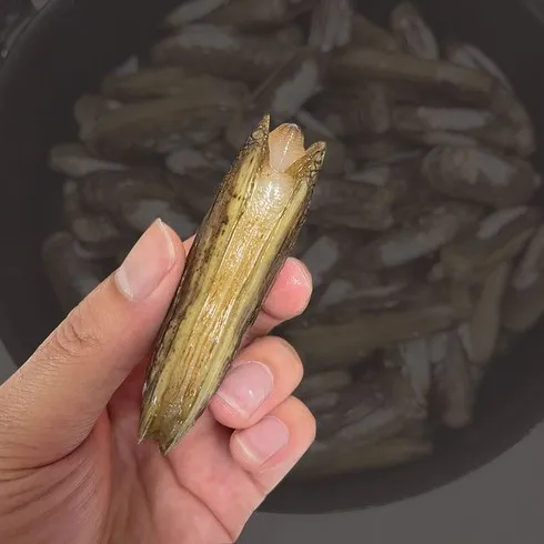 [쇼핑몰인기제품] 대맛조개 추천5위